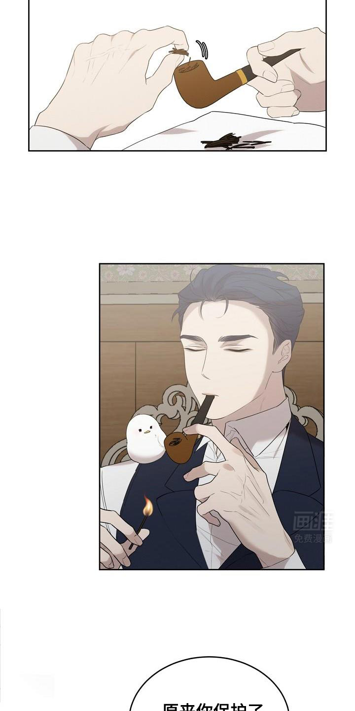 白鸟奇遇记第35话图