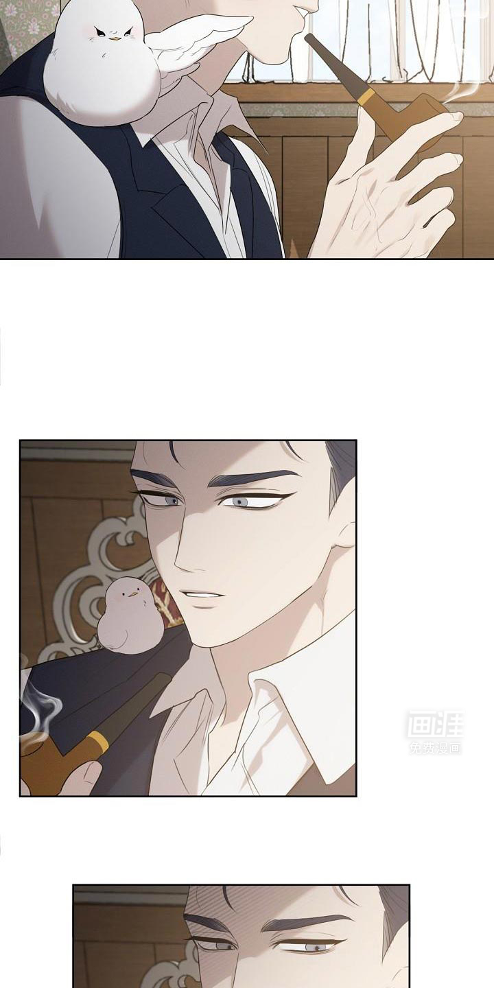 白鸟奇遇记第35话图