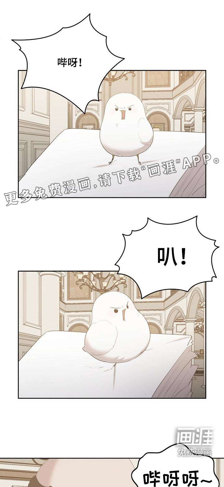 白鸟奇遇记第38话图