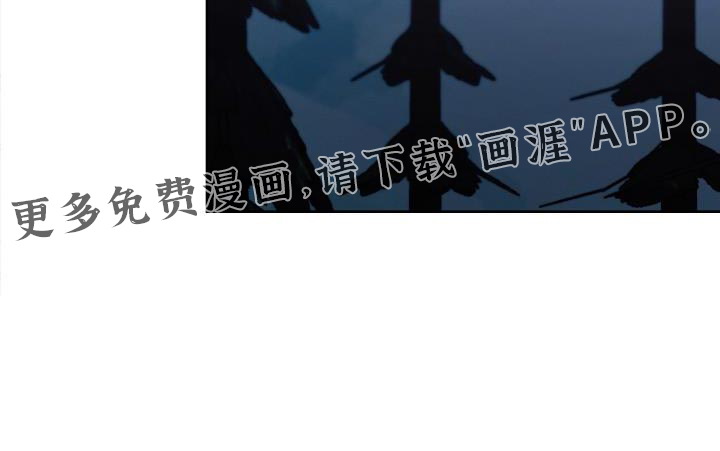 白鸟奇遇记第41话图
