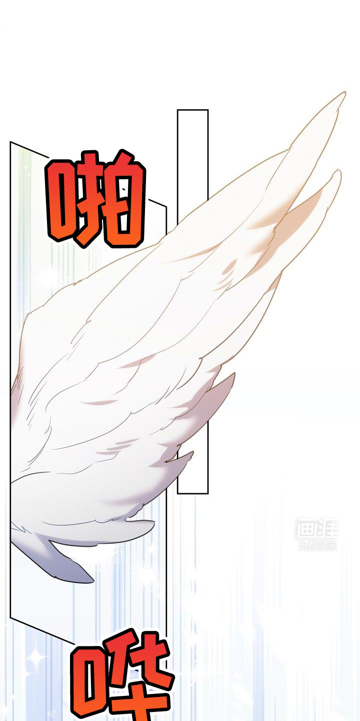 白鸟奇遇记第42话图
