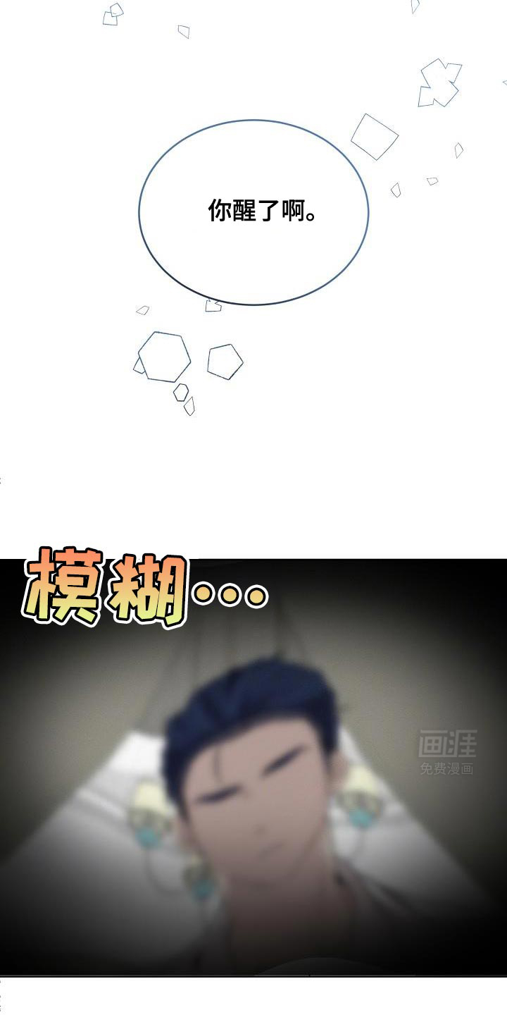 白鸟奇遇记第44话图