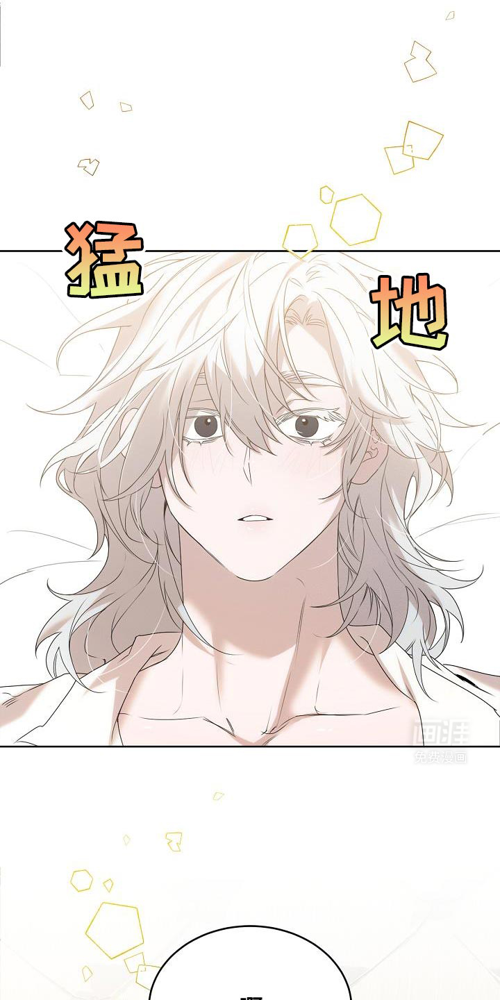 白鸟奇遇记第44话图