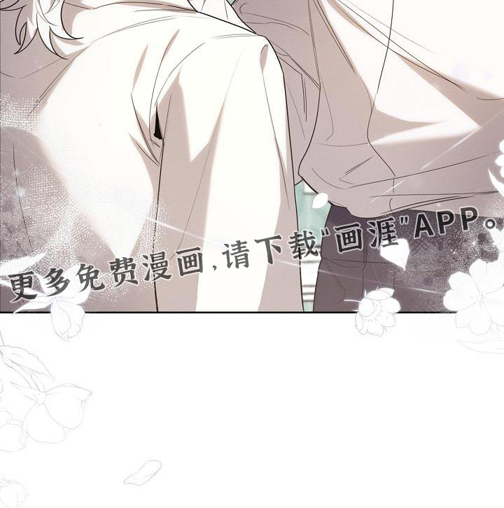 白鸟奇遇记第46话图