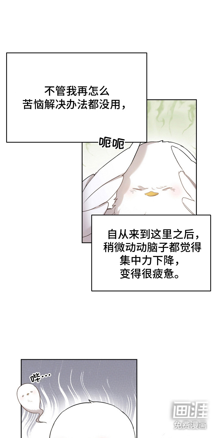 白鸟奇遇记第5话图