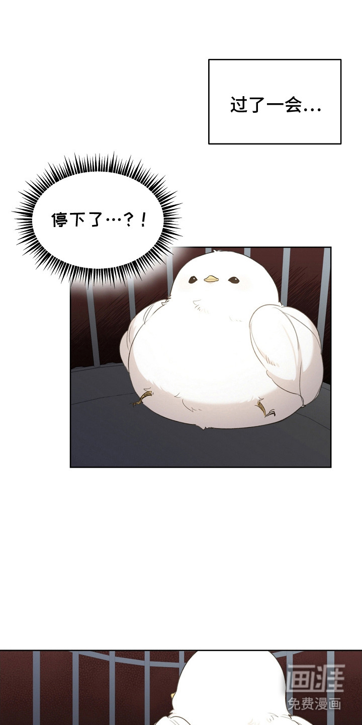 白鸟奇遇记第6话图