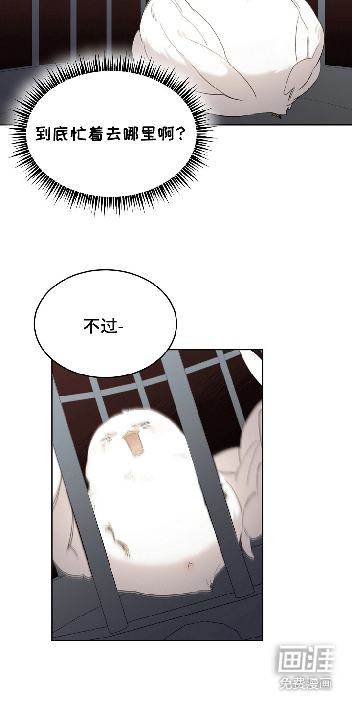 白鸟奇遇记第6话图