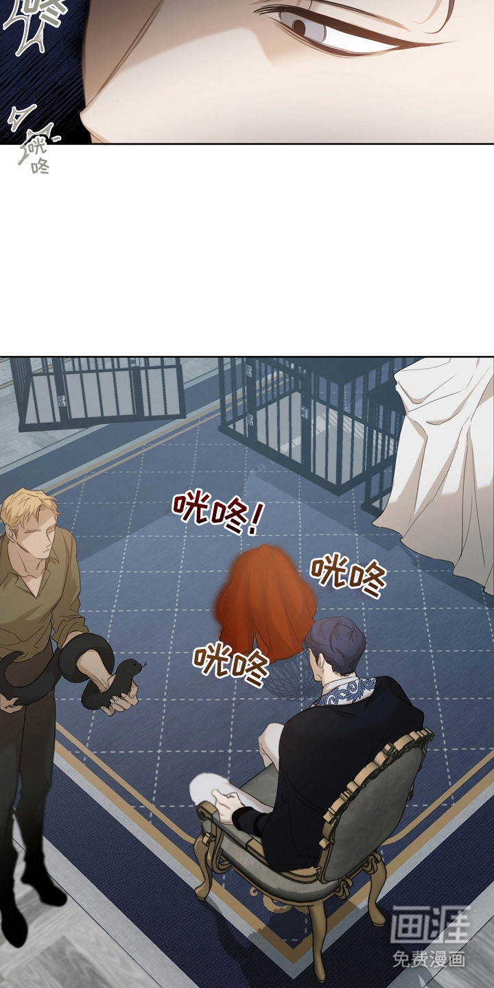 白鸟奇遇记第8话图