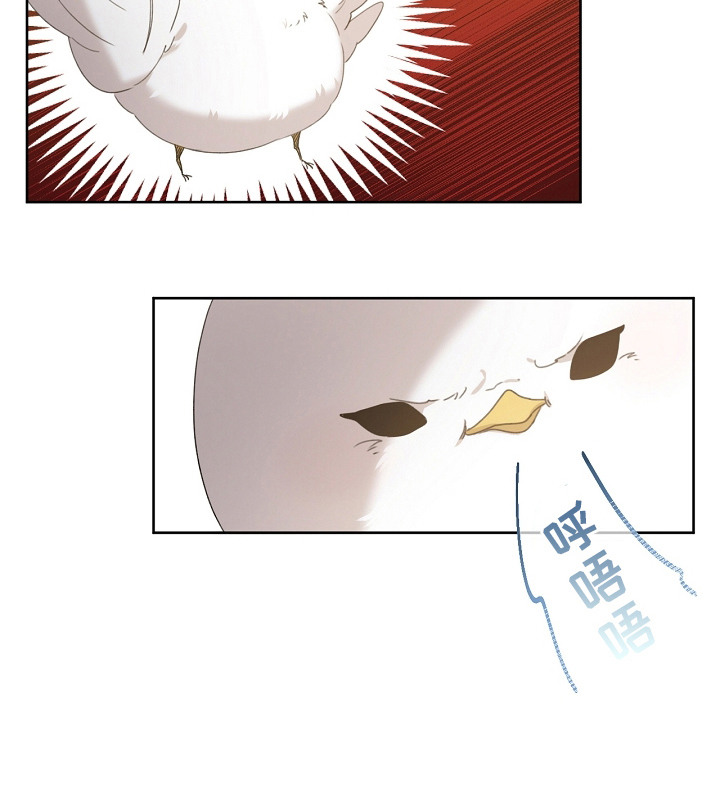 白鸟奇遇记第8话图