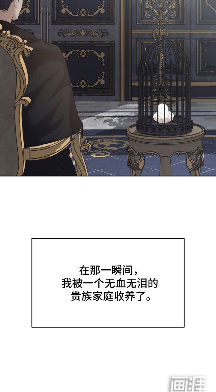 白鸟奇遇记第9话图