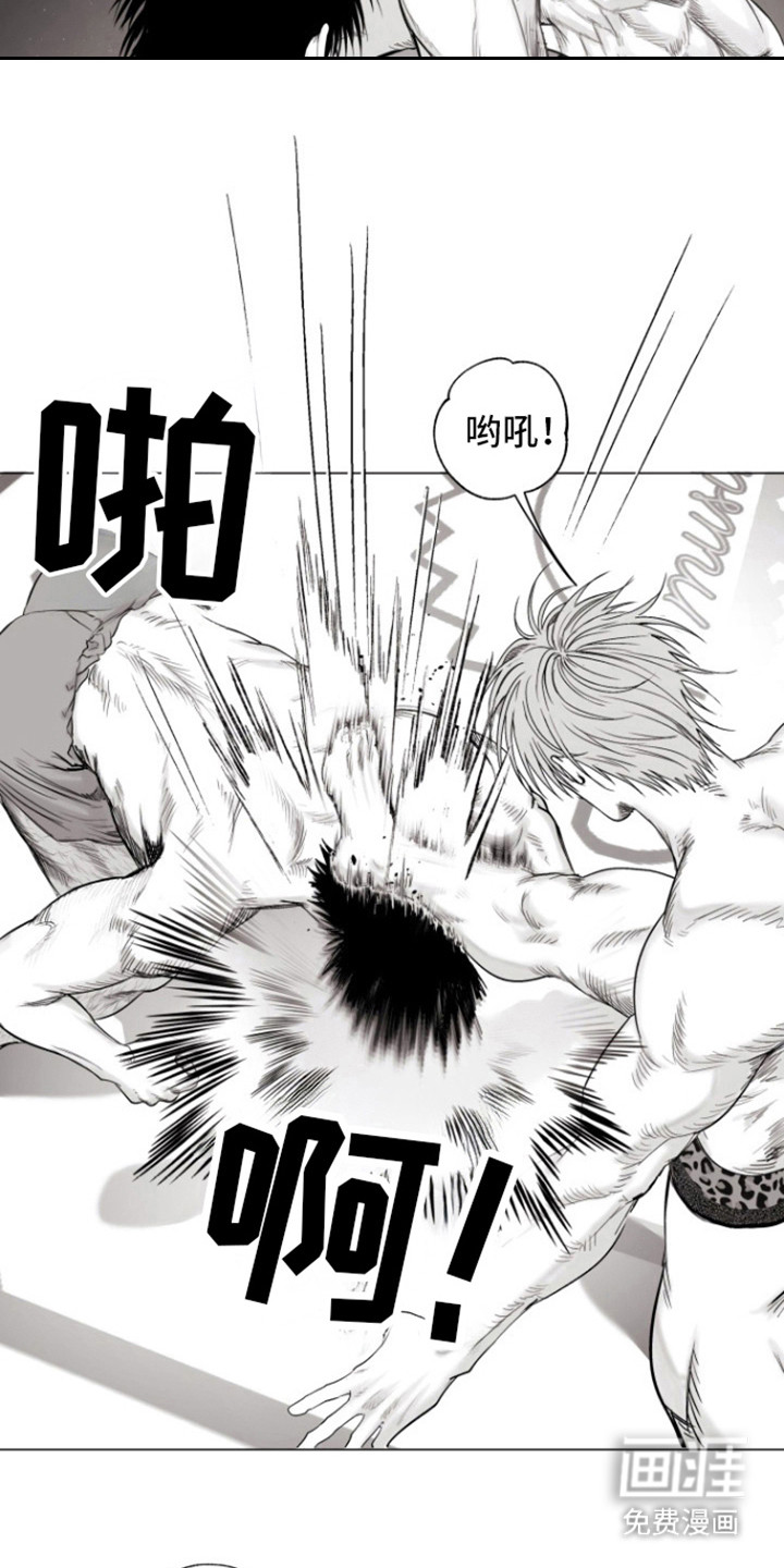 不屈的冠军第18话图