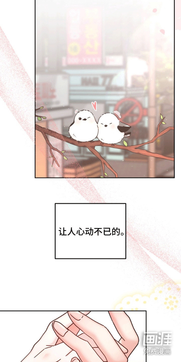 被大灰狼盯上第1话图