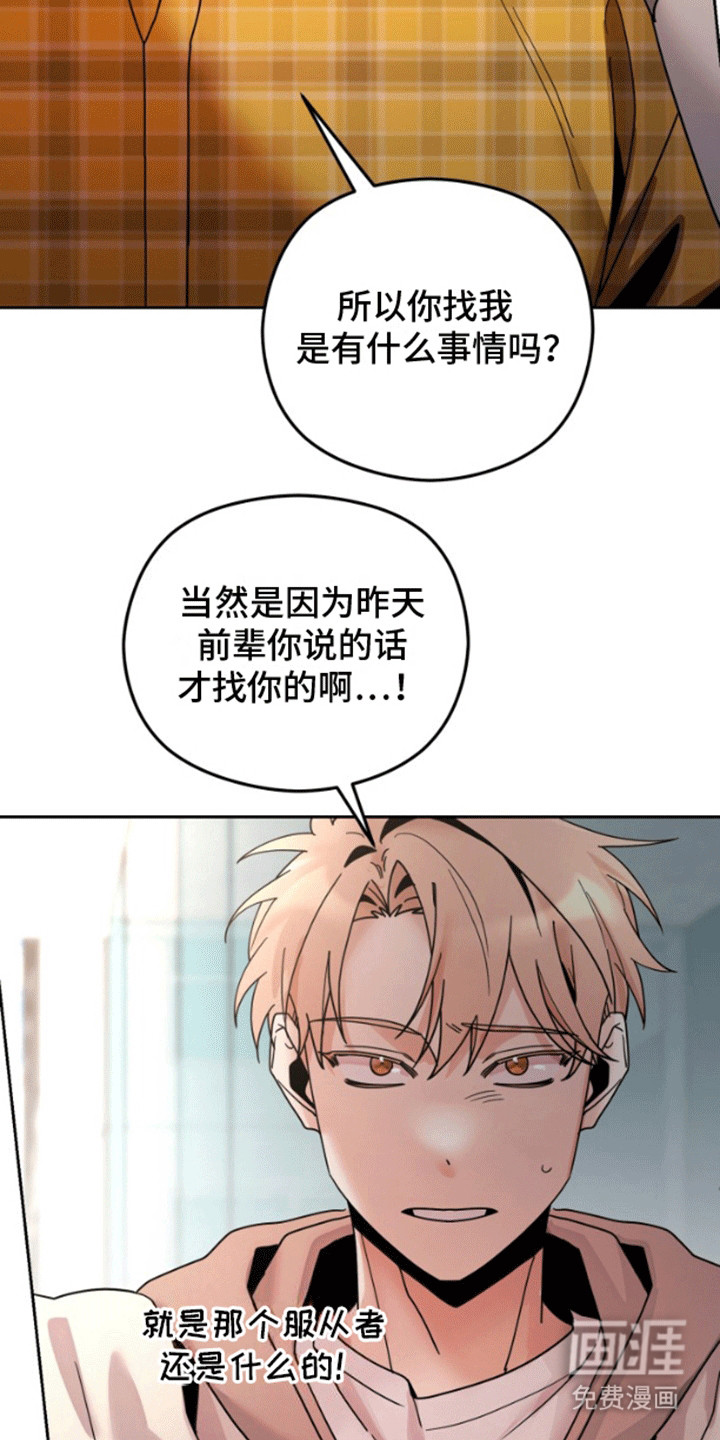 被大灰狼盯上第7话图