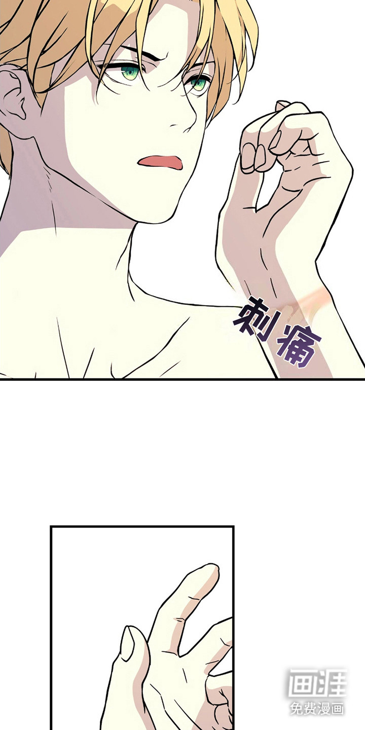 标记掠夺第17话图