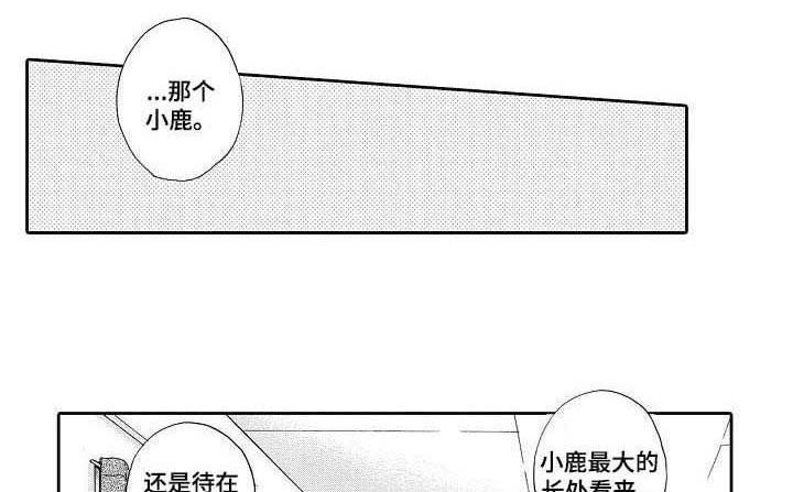 不会咬人的狗第11话图