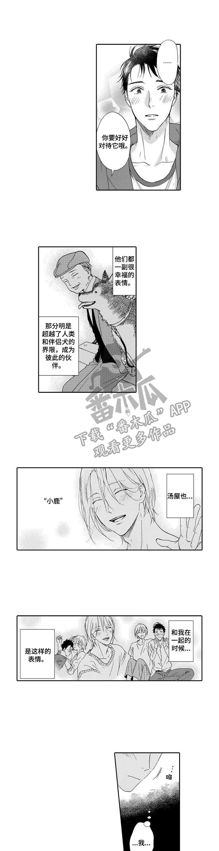 不会咬人的狗第13话图