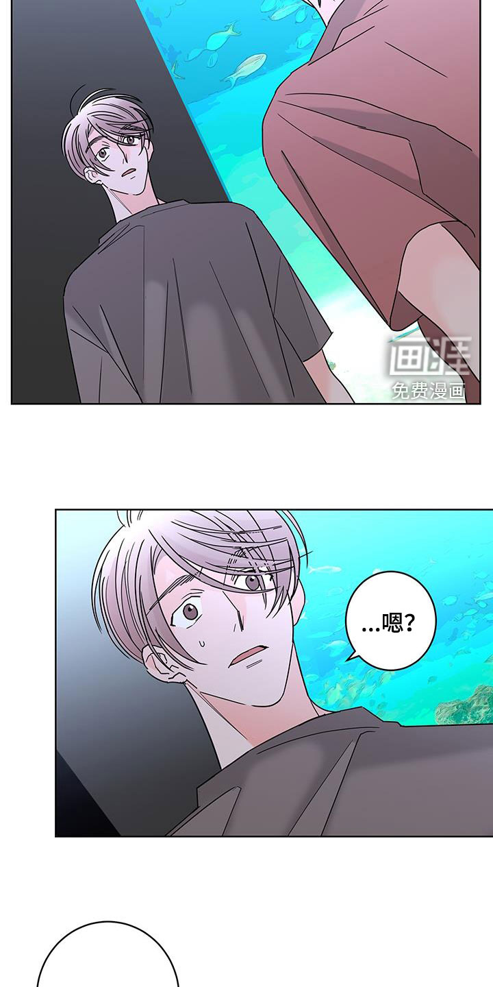 贝塔的报恩第46话图