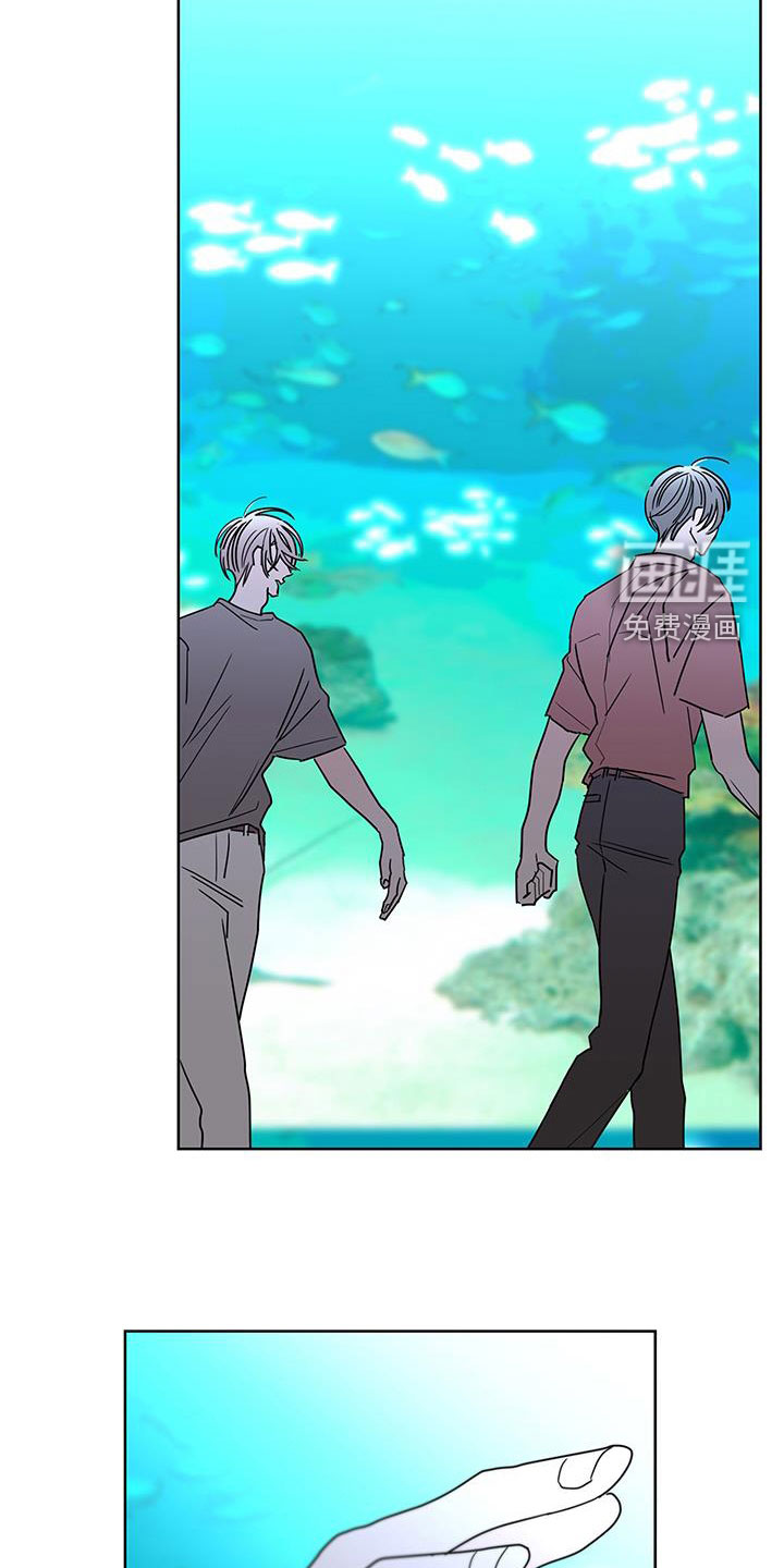 贝塔的报恩第46话图