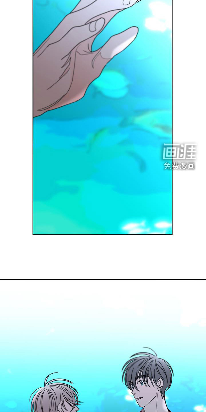 贝塔的报恩第46话图