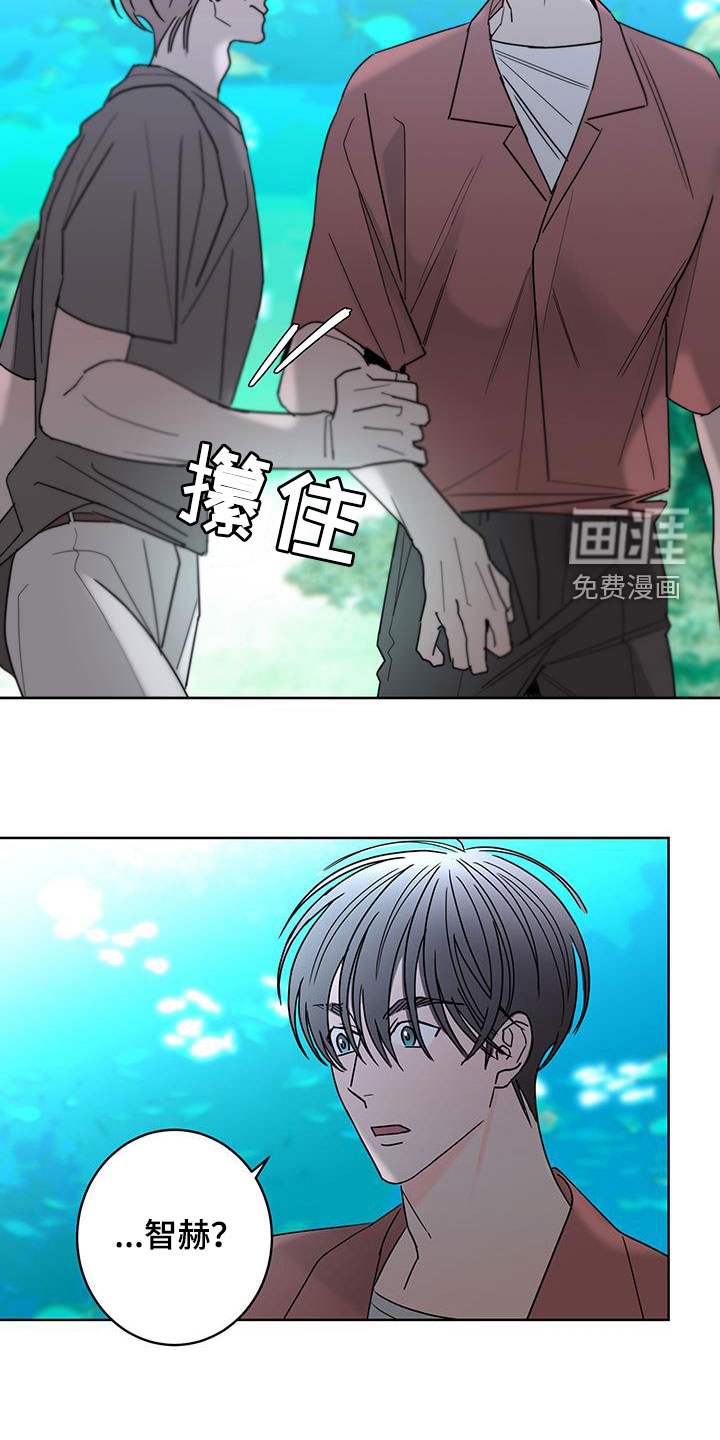 贝塔的报恩第46话图