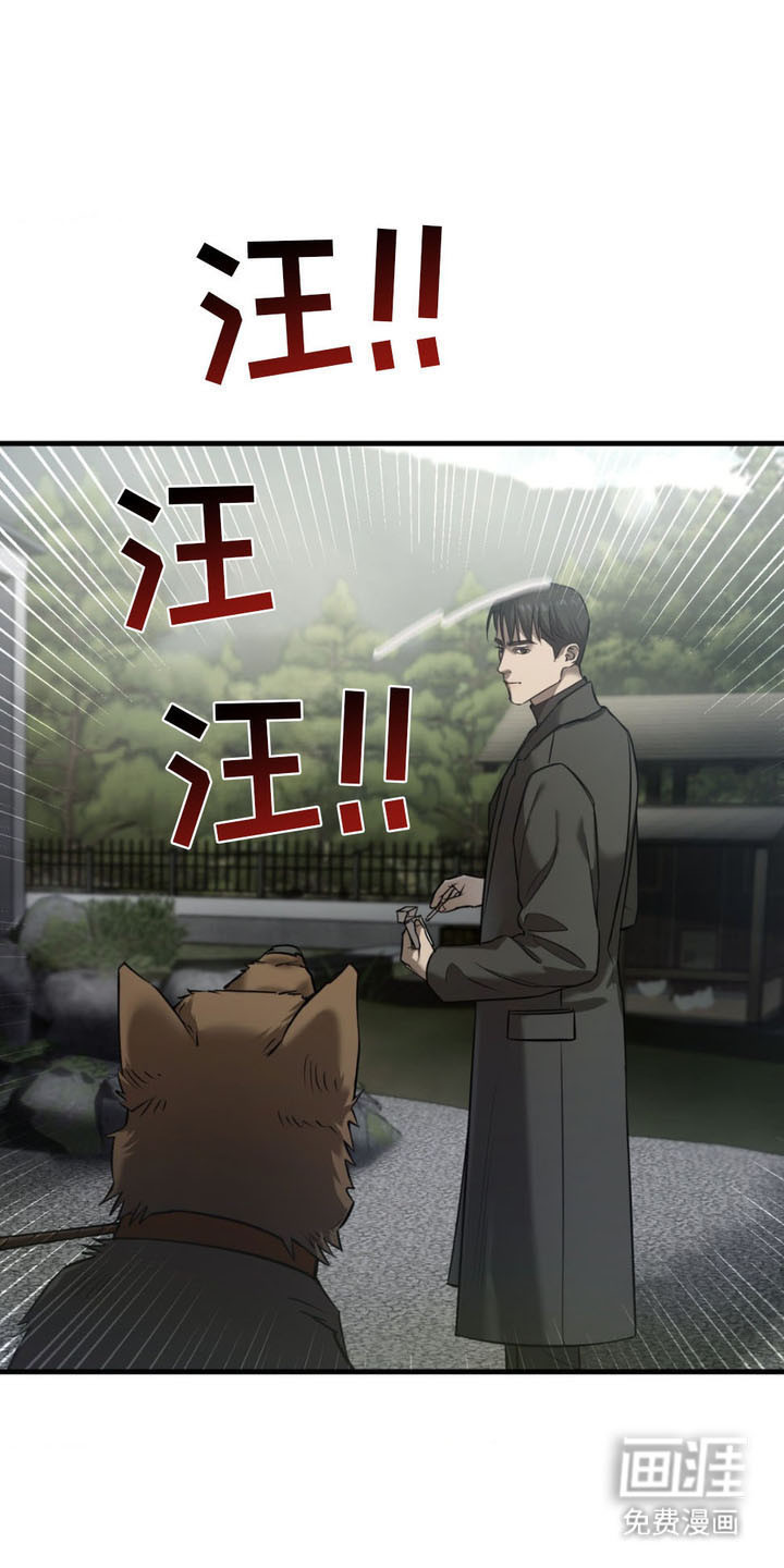 崩裂的伤痕第5话图