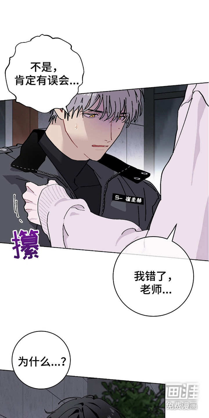 被偏爱的瑕疵第19话图