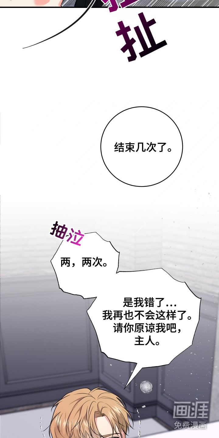 别样搭档第4话图