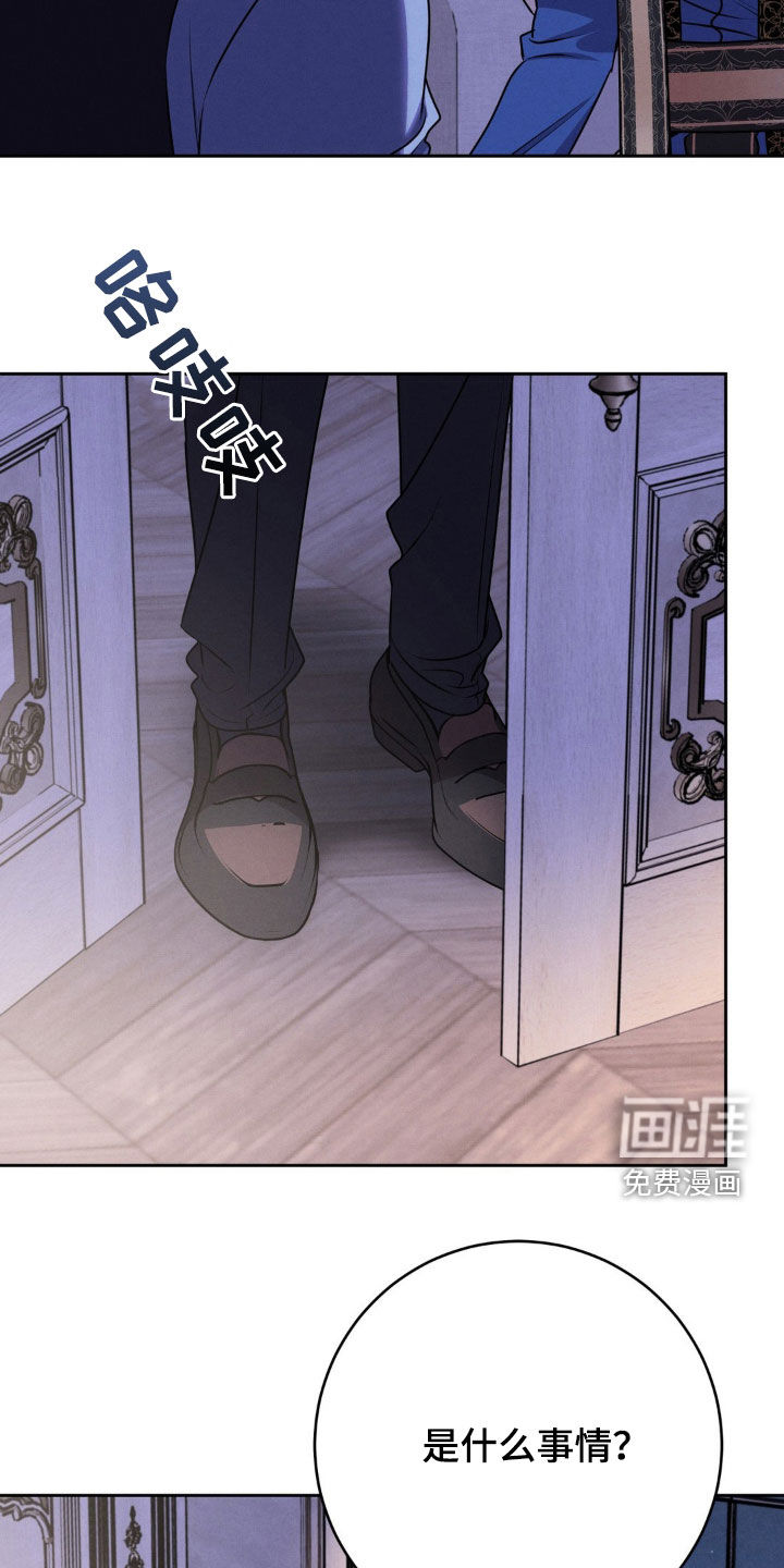 被降职的骑士第17话图