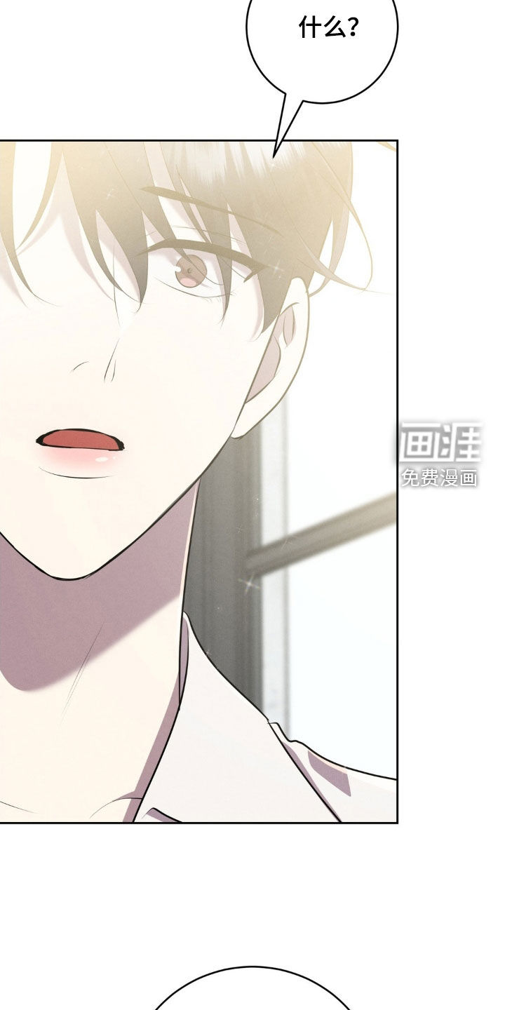 被降职的骑士第20话图