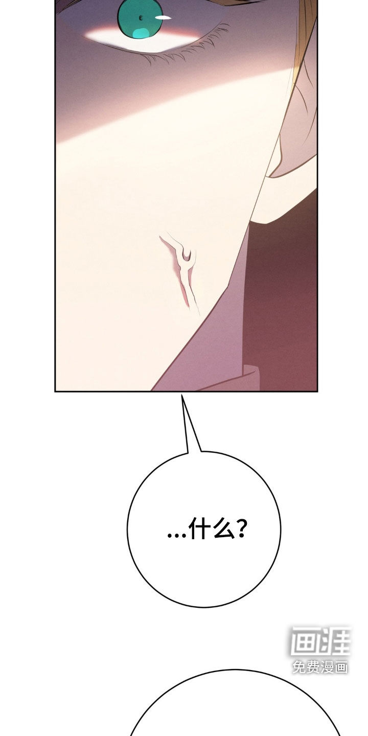 被降职的骑士第24话图