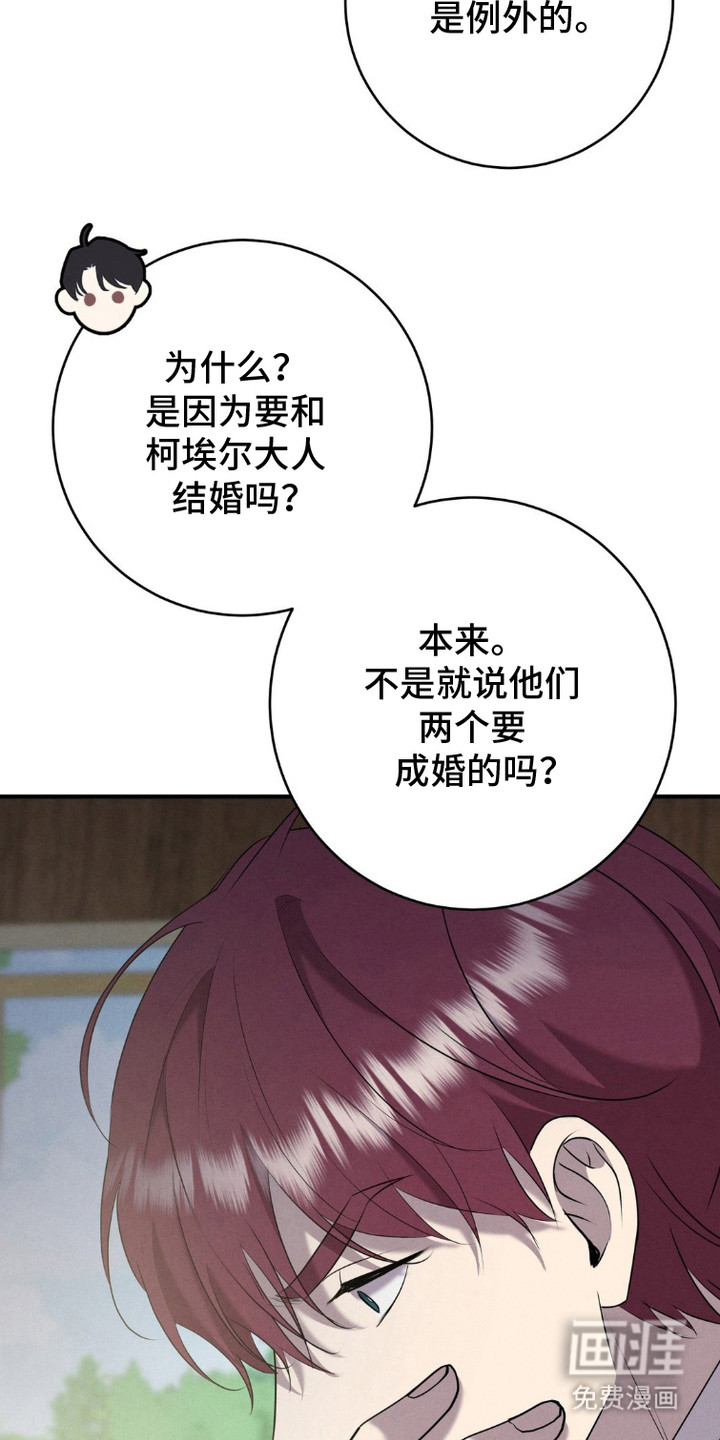 被降职的骑士第7话图