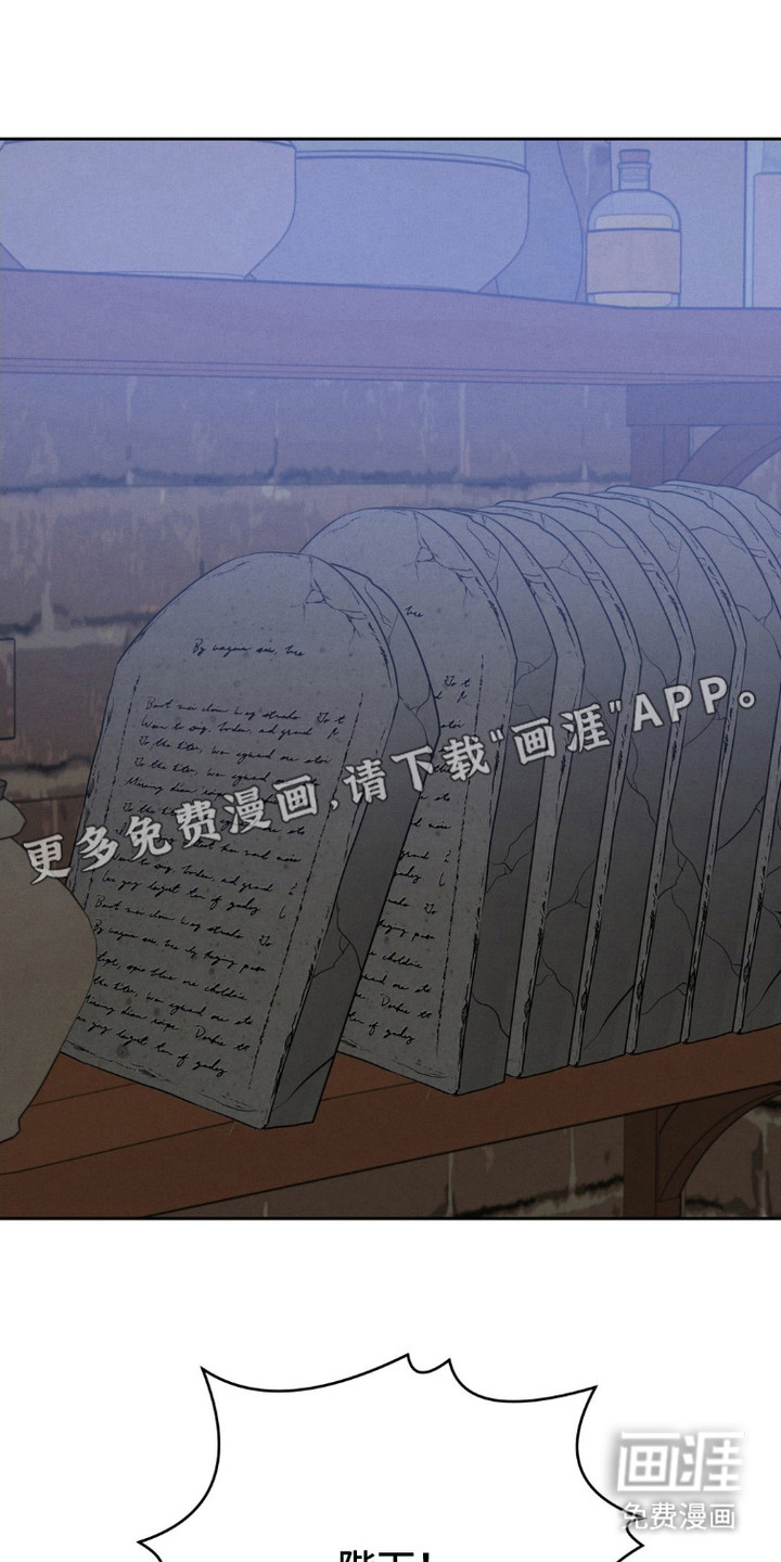 被降职的骑士第9话图