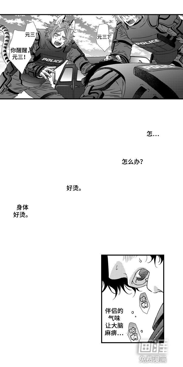 不会爱的野兽第10话图