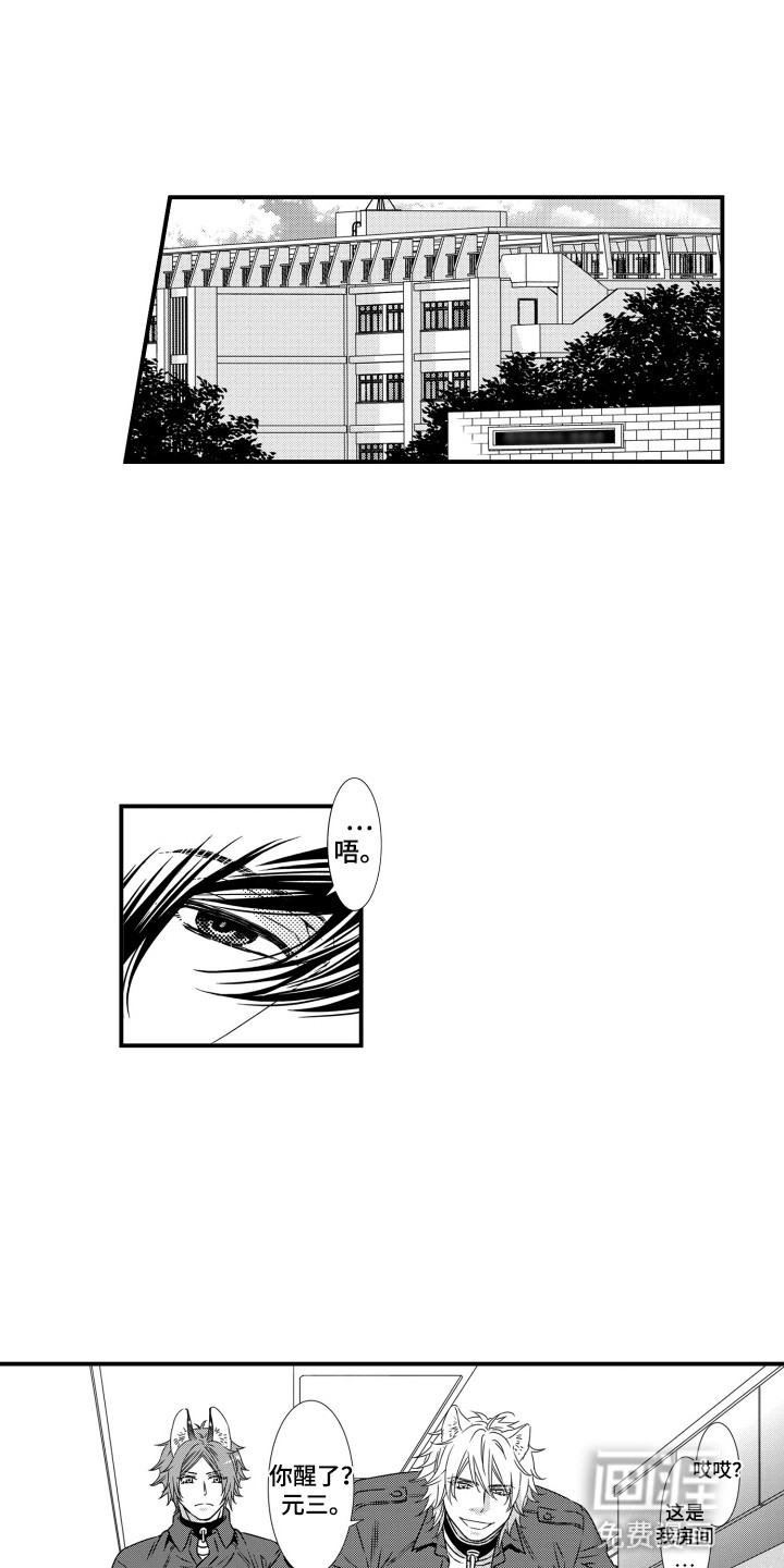 不会爱的野兽第11话图