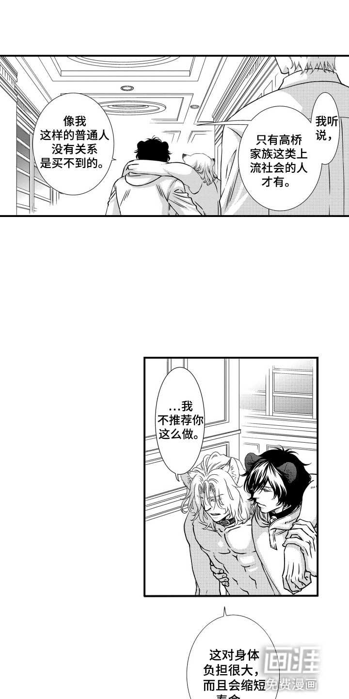 不会爱的野兽第15话图