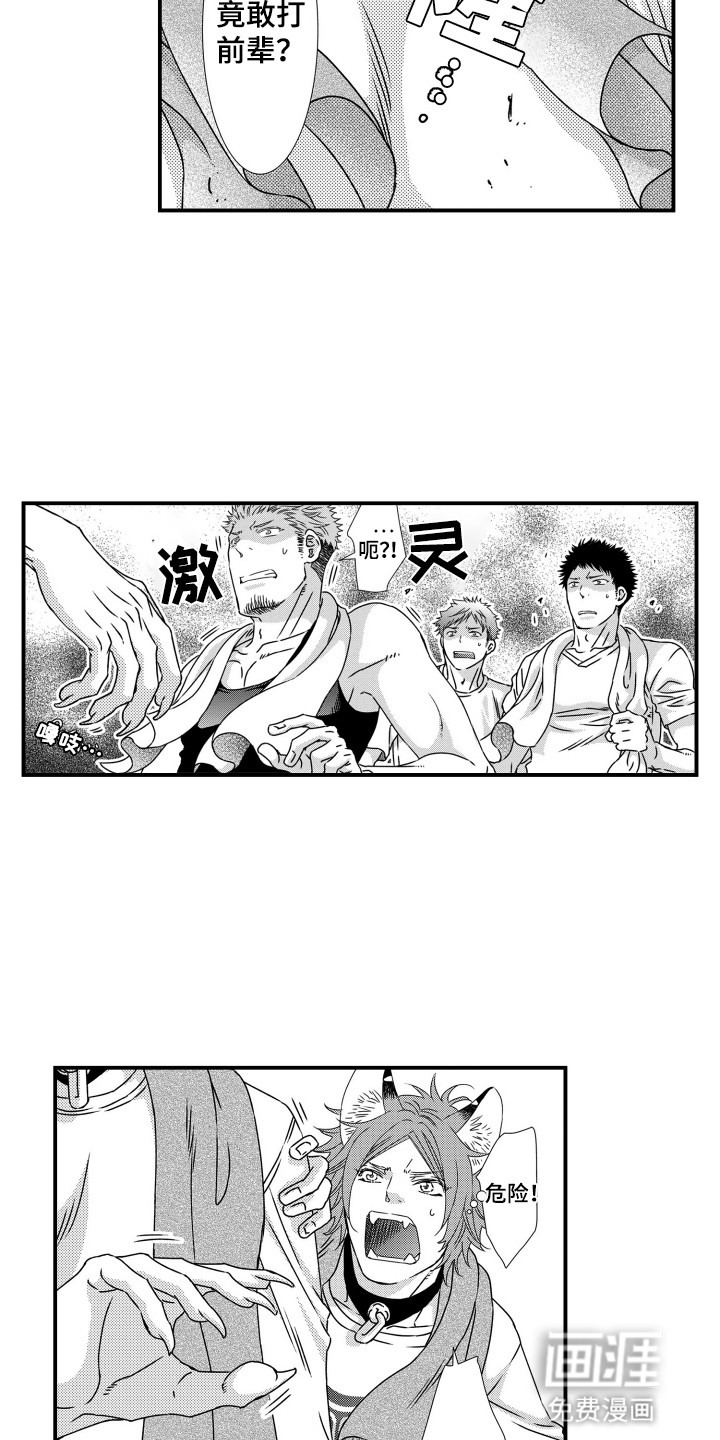 不会爱的野兽第3话图