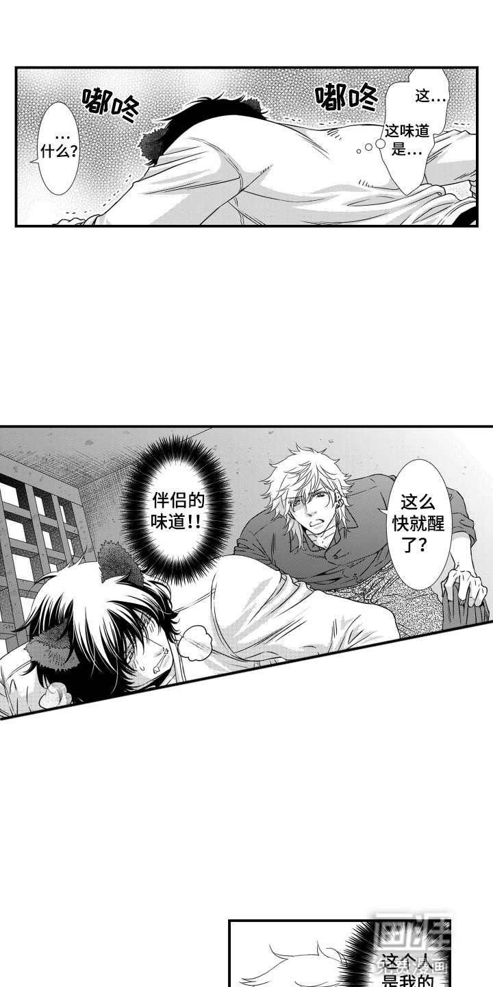 不会爱的野兽第37话图