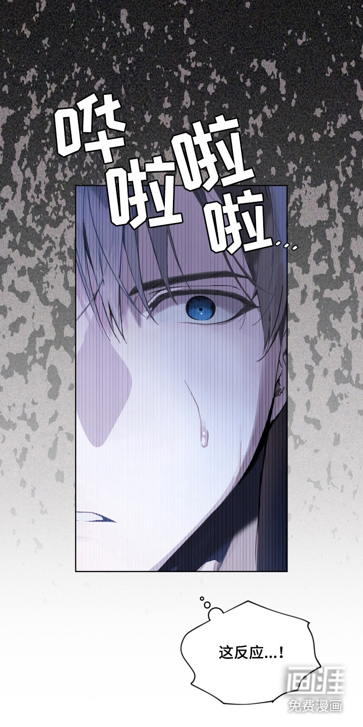 不驯禁区漫画-图15