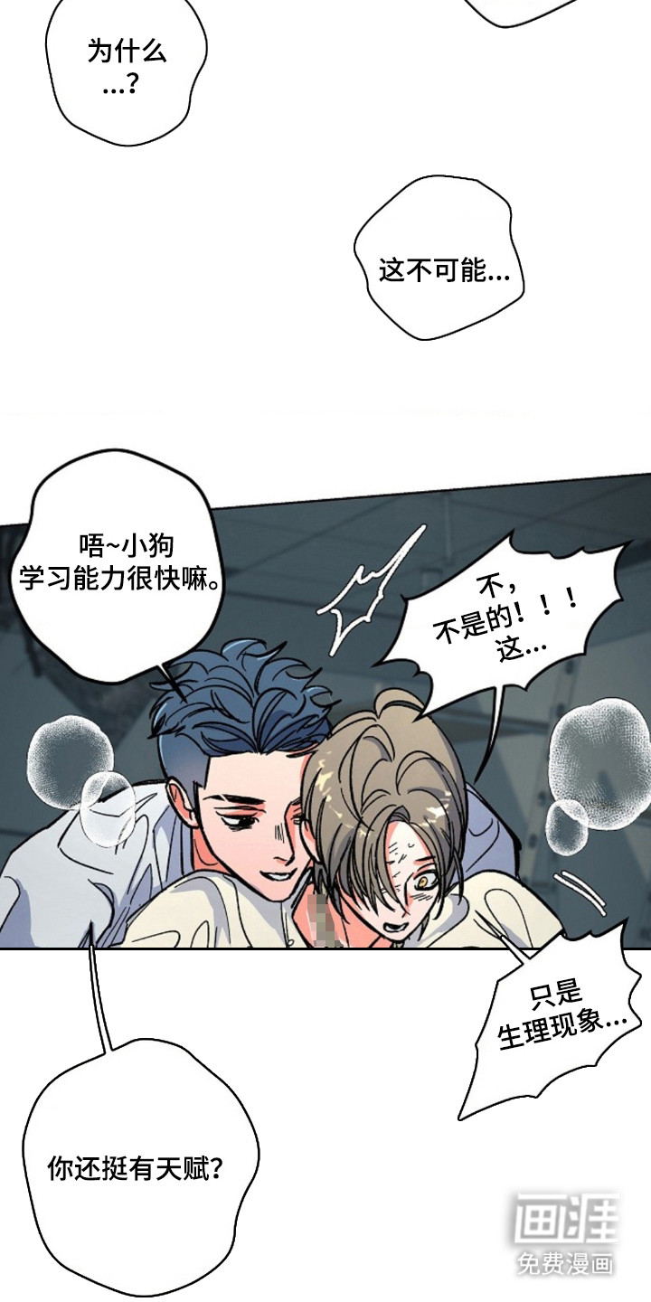 白夜废墟漫画-图17