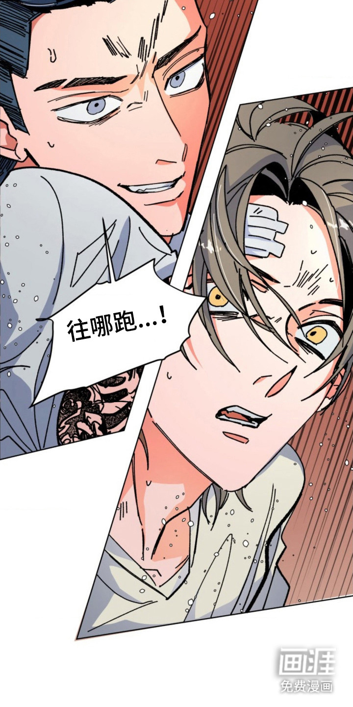 白夜废墟漫画-图18