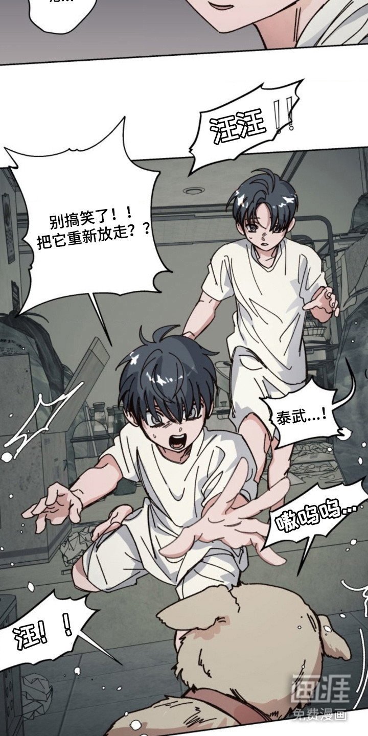 白夜废墟漫画-图5