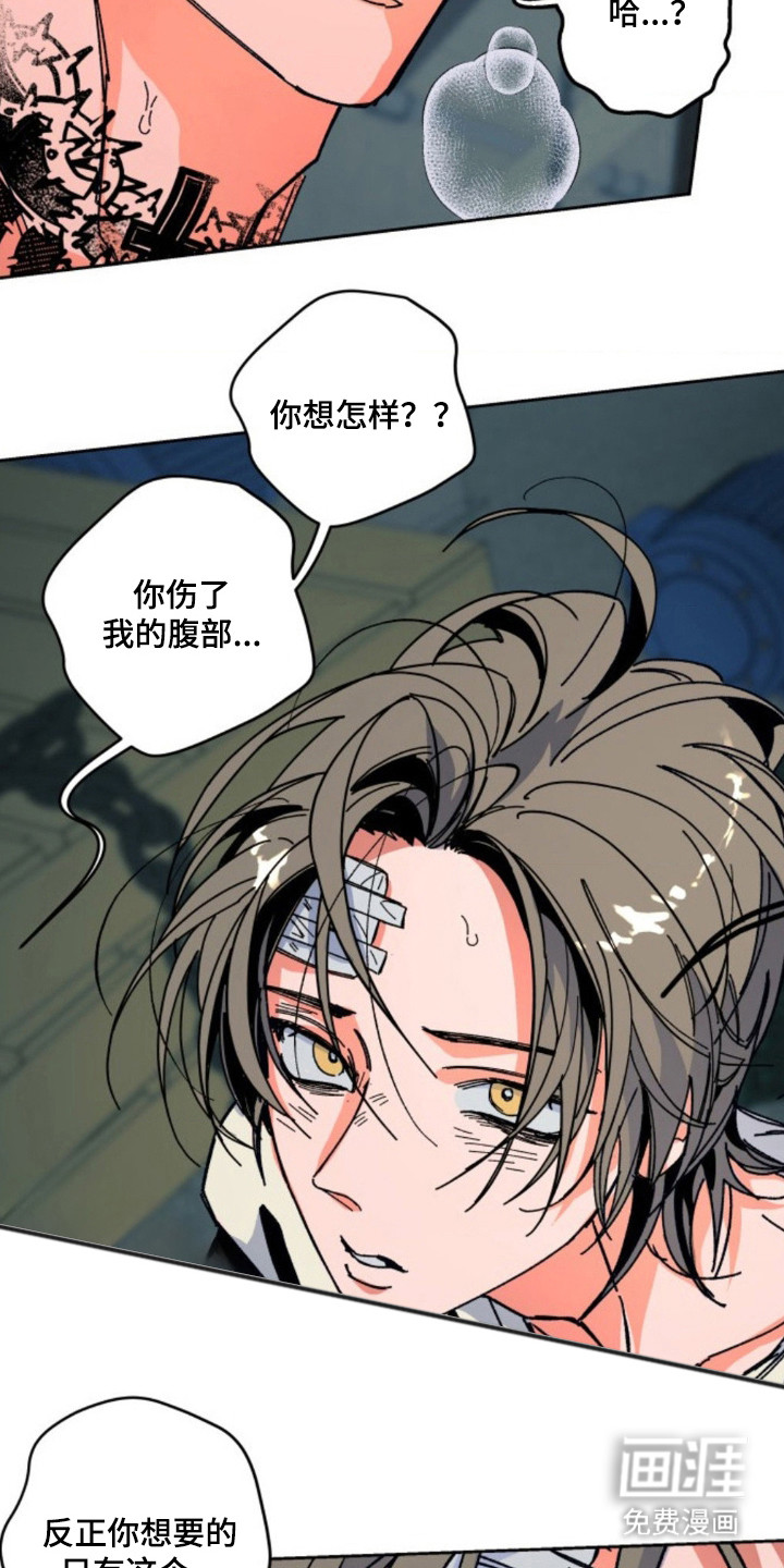 白夜废墟漫画-图14