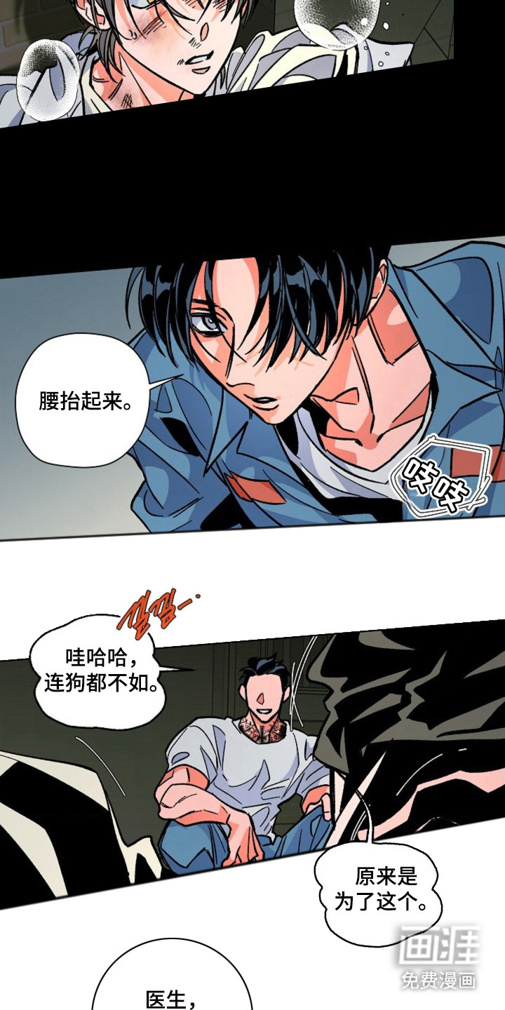白夜废墟漫画-图14