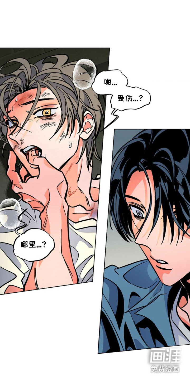 白夜废墟漫画-图17