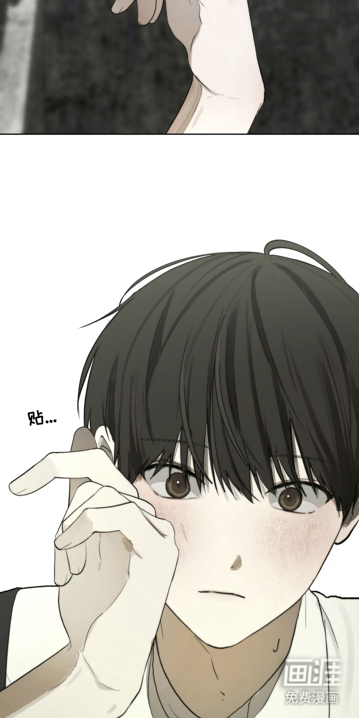 不良少年饲养手册漫画-图12