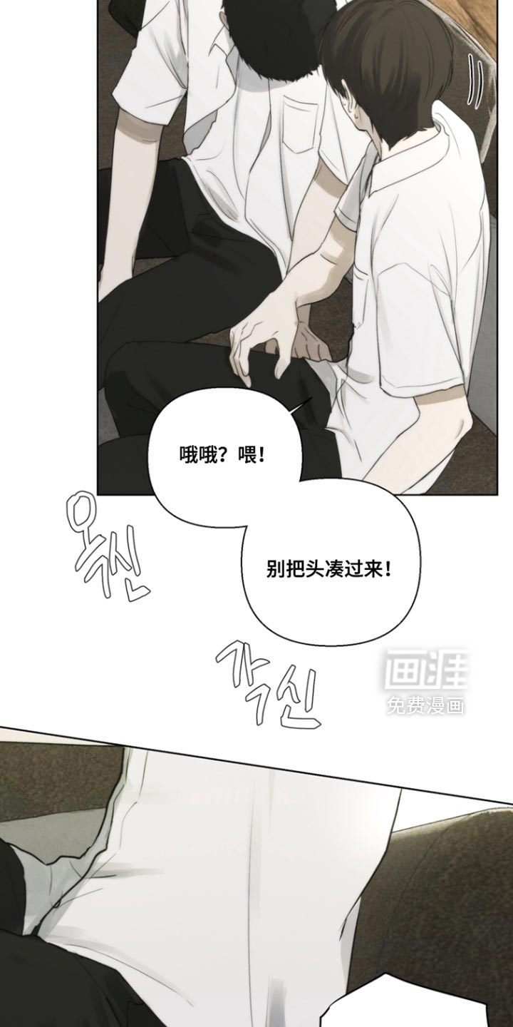 不良少年饲养手册漫画-图15
