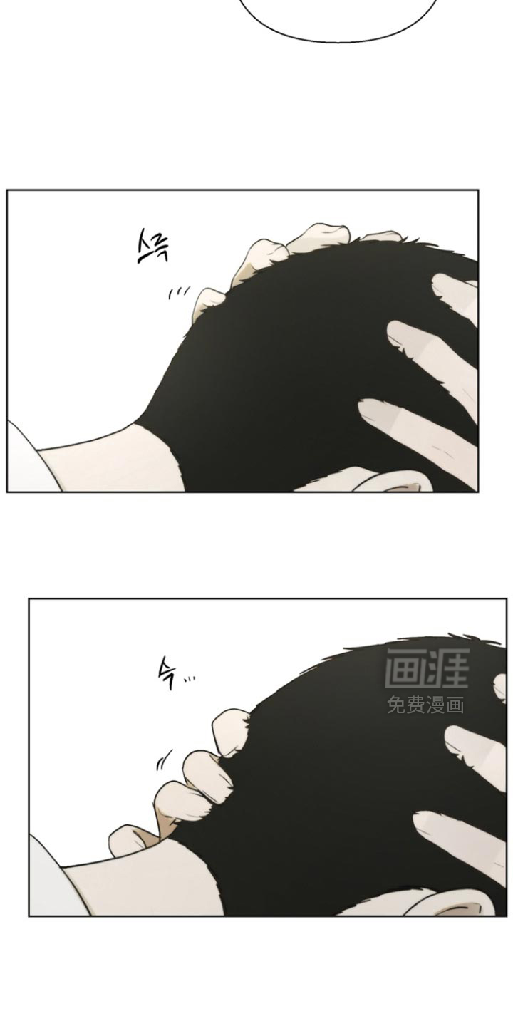 不良少年饲养手册漫画-图21