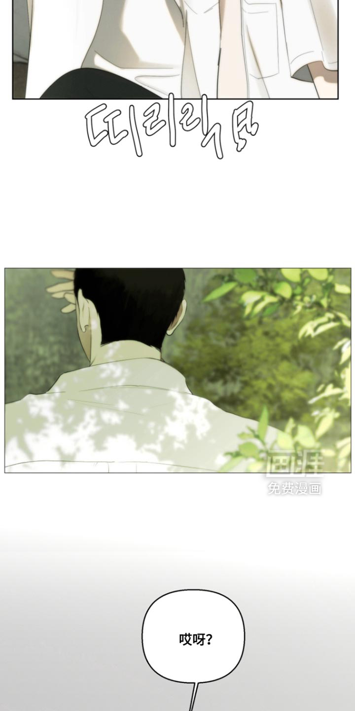 不良少年饲养手册漫画-图8