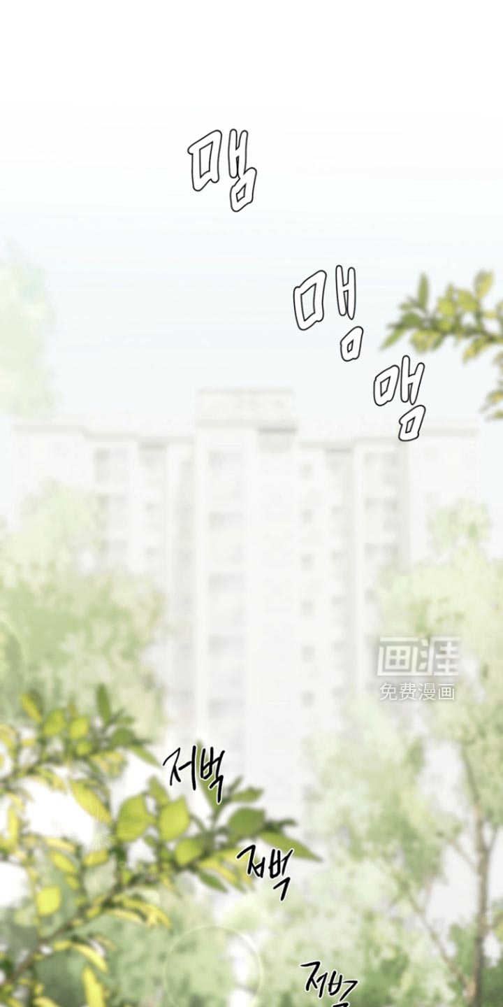 不良少年饲养手册第25话图