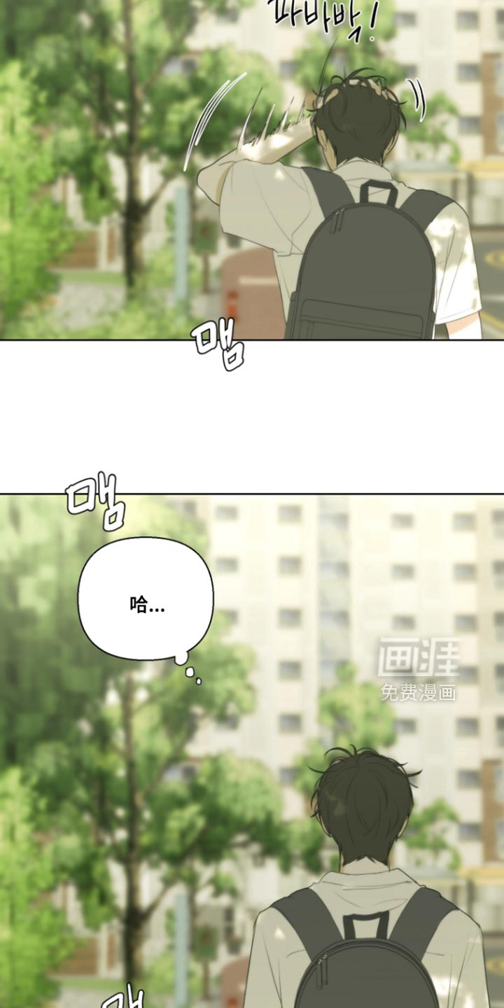 不良少年饲养手册漫画-图16